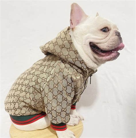 dog gucci dress|designer dog clothes gucci.